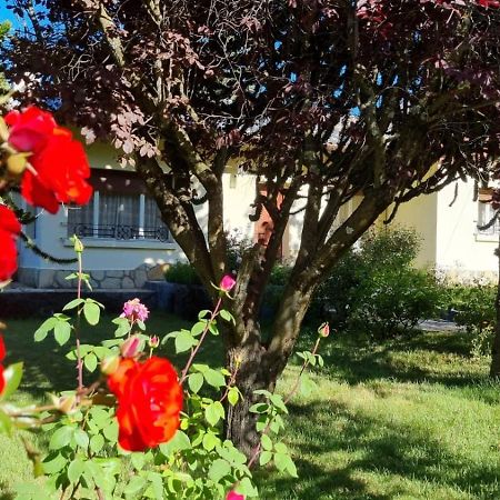 De Las Rosas Bariloche Exterior photo