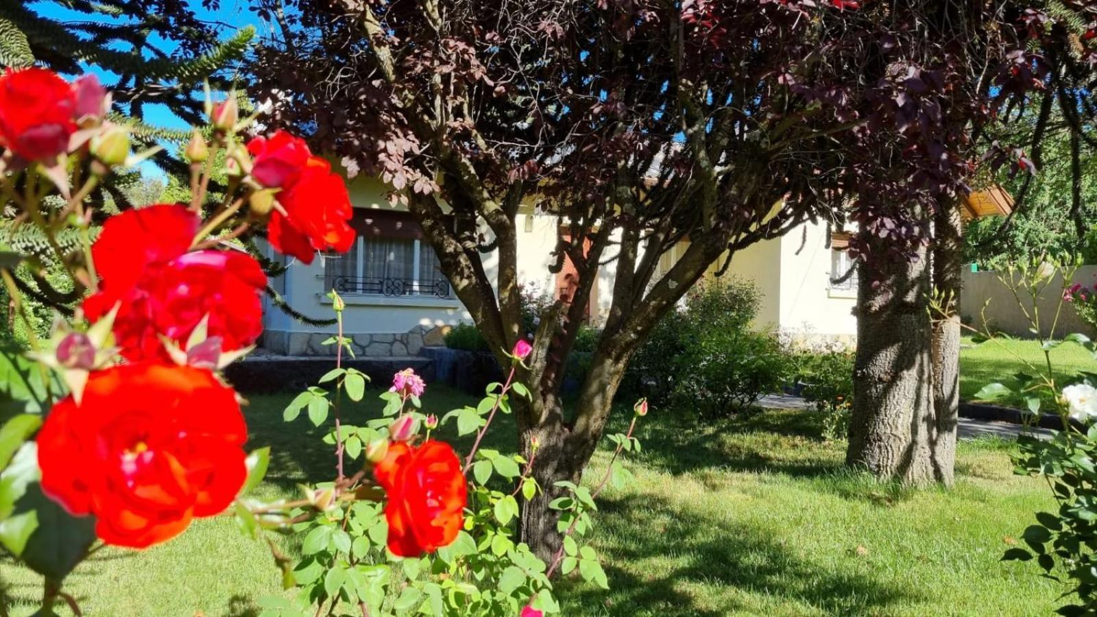 De Las Rosas Bariloche Exterior photo