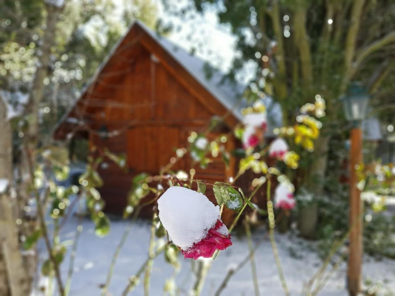 De Las Rosas Bariloche Exterior photo